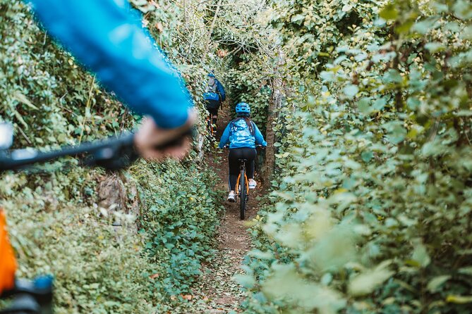 Sorrento E-Bike Tour With Limoncello Tasting - Inclusions and Accessibility