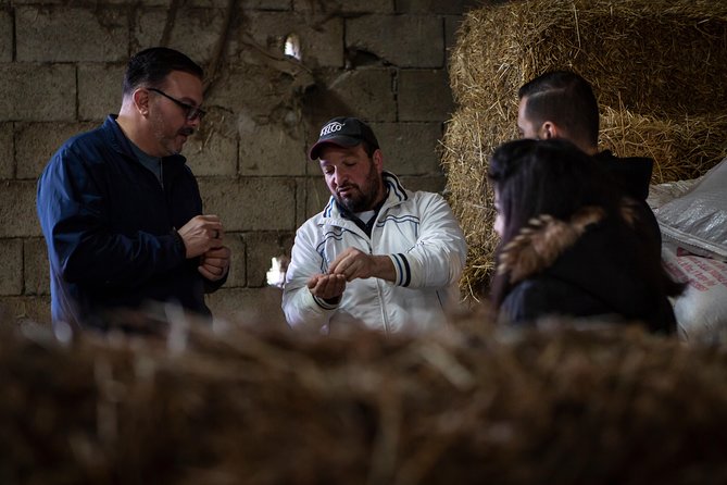 Sorrento Farm Experience With Pizza, Cheese Making and Limoncello - Limoncello Liqueur Tasting Experience