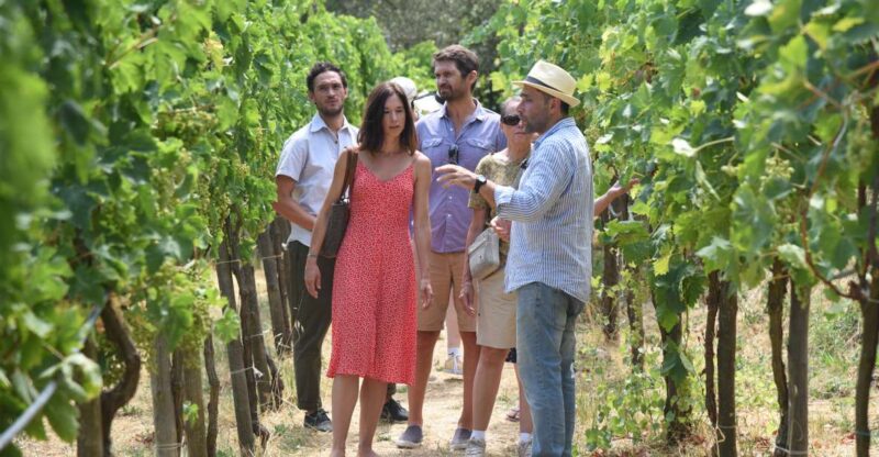 Sorrento: Farm Tour With Cheese Tasting & Pizza Making Class - Key Points