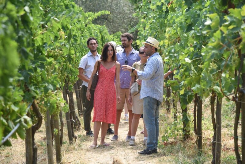 Sorrento: Farm Tour With Cheese Tasting & Pizza Making Class - Tour Overview