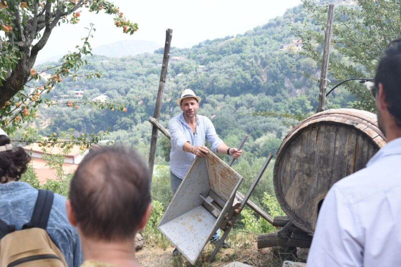 Sorrento: Farm Tour With Cheese Tasting & Pizza Making Class - Farm Experience