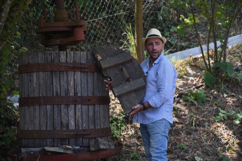 Sorrento: Farm Tour With Cheese Tasting & Pizza Making Class - Included in the Tour