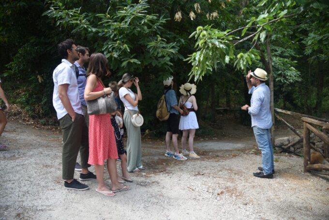 Sorrento: Farm Tour With Cheese Tasting & Pizza Making Class - Location and Meeting Details