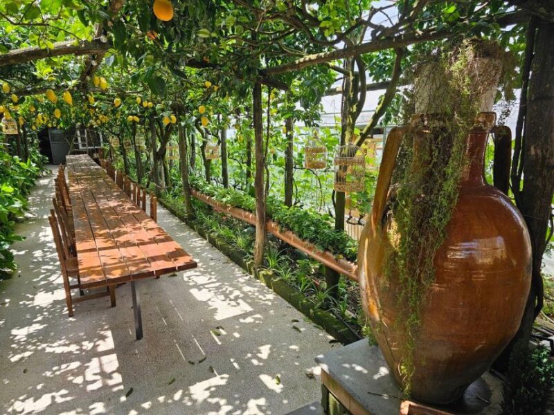 Sorrento: Food Tour by E-Bike and Visit at Vinegar Cellar - Key Points