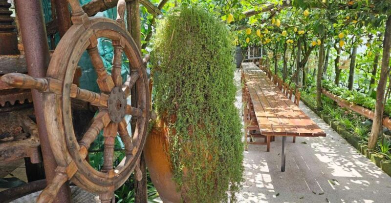 Sorrento: Food Tour by E-Bike and Visit at Vinegar Cellar - Itinerary Details