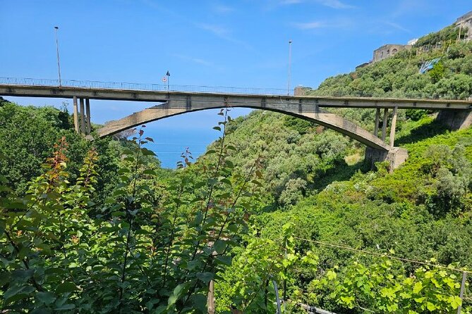 Sorrento: Gastronomic Tour by E-Bike and Visit to Acetaia - Discovering the Old Farmhouse