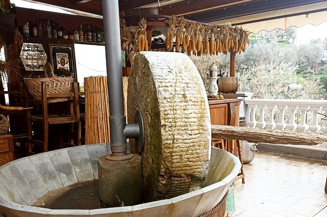 Sorrento: Gastronomic Tour by E-Bike and Visit to Acetaia - Since You Asked