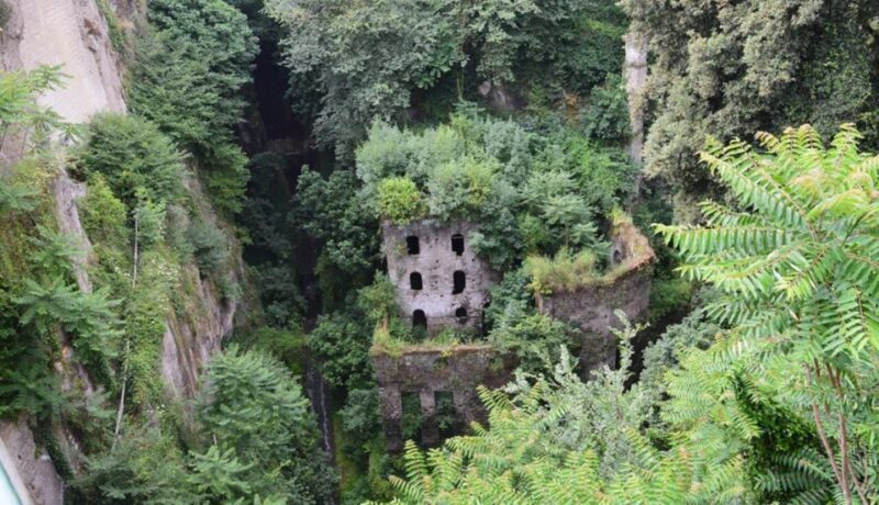 Sorrento: Guided Walking Tour & Limoncello Tasting - Booking Information and Pricing