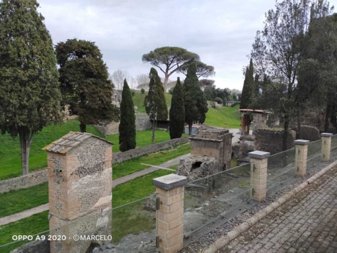 Sorrento: Half-Day Pompeii Tour With Official Guide - Transportation and Languages