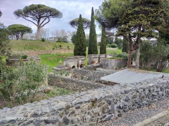 Sorrento: Half-Day Pompeii Tour With Official Guide - Customer Feedback