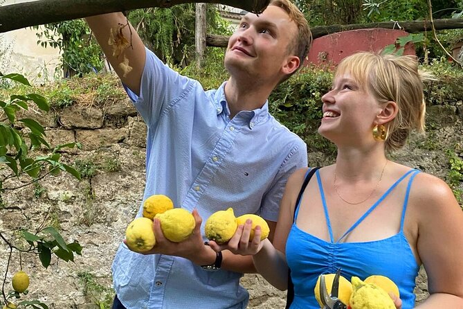 Sorrento Lemon Experience in a Farmhouse With Limoncello Tastings - Exploring the Citrus Grove