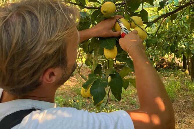 Sorrento Lemon Experience in a Farmhouse With Limoncello Tastings - Lemon Peeling Demonstration