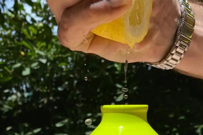 Sorrento Lemon Experience in a Farmhouse With Limoncello Tastings - Limoncello Tasting and Creation
