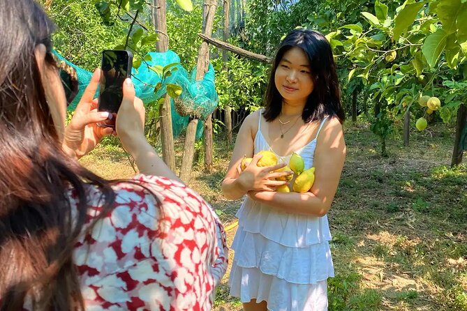 Sorrento Lemon Experience in a Farmhouse With Limoncello Tastings - Navigating Transportation Logistics