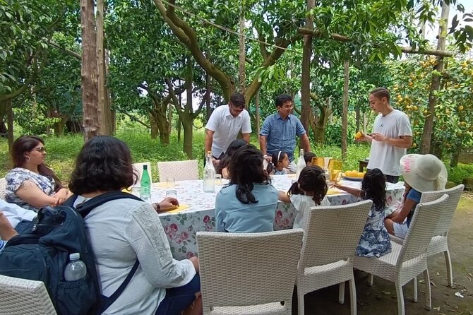 Sorrento Lemon Experience in a Farmhouse With Limoncello Tastings - Accessibility and Group Size
