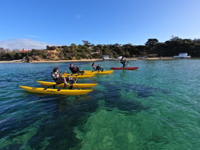 Sorrento, Mornington Peninsula Waterbike Tour - Booking Information