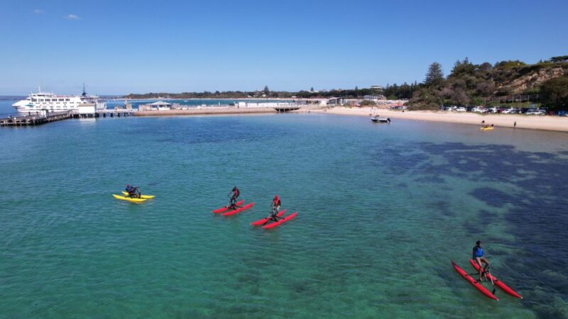 Sorrento, Mornington Peninsula Waterbike Tour - Tour Highlights