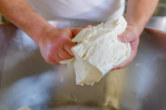 Sorrento: Mozzarella Cheese and MTB E-Bike Tour - Whats Included in the Tour