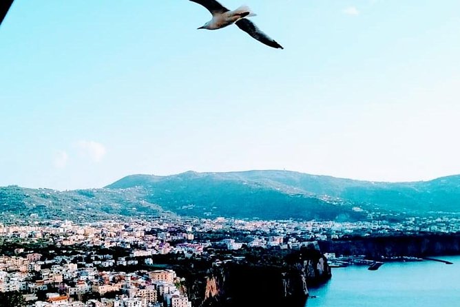 Sorrento - Positano - Pompeii - Inclusions and Highlights