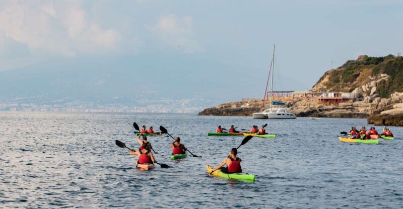 Sorrento: Premium Kayaking Experience With Swimming - Encounter With Marine Life