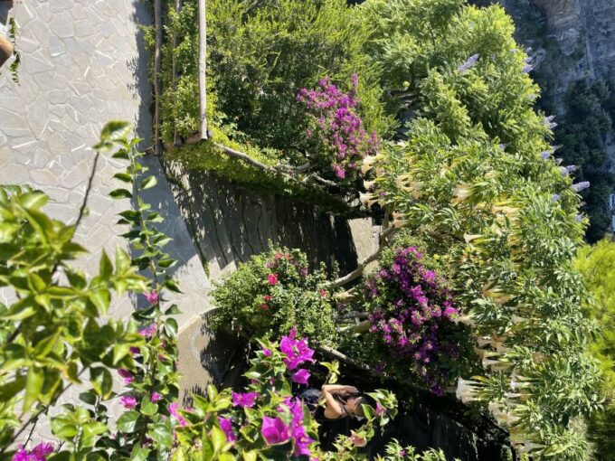 Sorrento: Private 1-Way Transfer From Sorrento to Positano - Wheelchair Accessibility