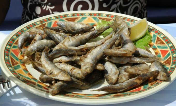 Sorrento: Sea-Fishing Tour With Lunch Onboard - Languages and Cancellation Policy