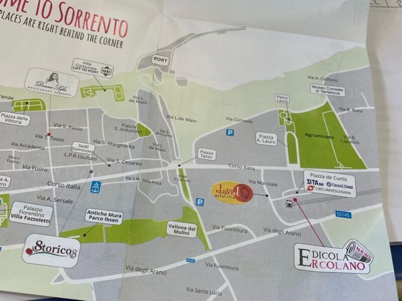 Sorrento: Skip-the-Line Pompeii Express Tour by Train - Overview of the Pompeii Express Tour