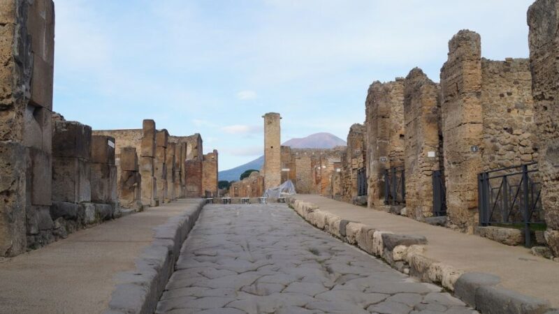 Sorrento: Skip-the-Line Pompeii Express Tour by Train - Guided Tour Experience
