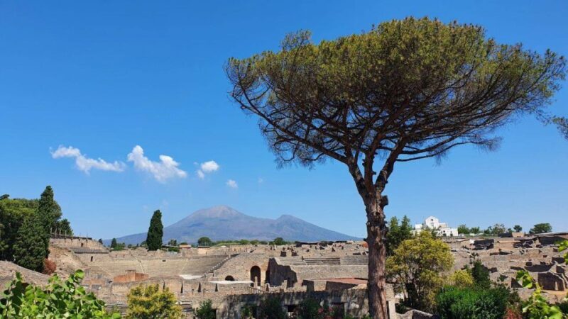 Sorrento: Skip-the-Line Pompeii Express Tour by Train - Since Your Asked