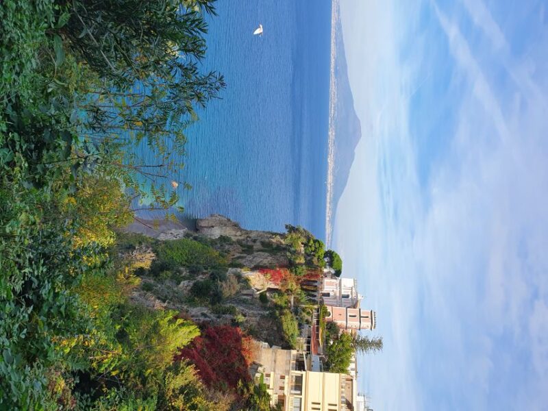 Sorrento: Transfer to Naples, Airport, Train Station, Port. - Driver Information