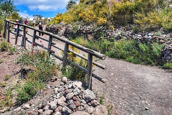 Sorrento: Vesuvius Day Trip With Entry and Lunch - Reviews and Feedback