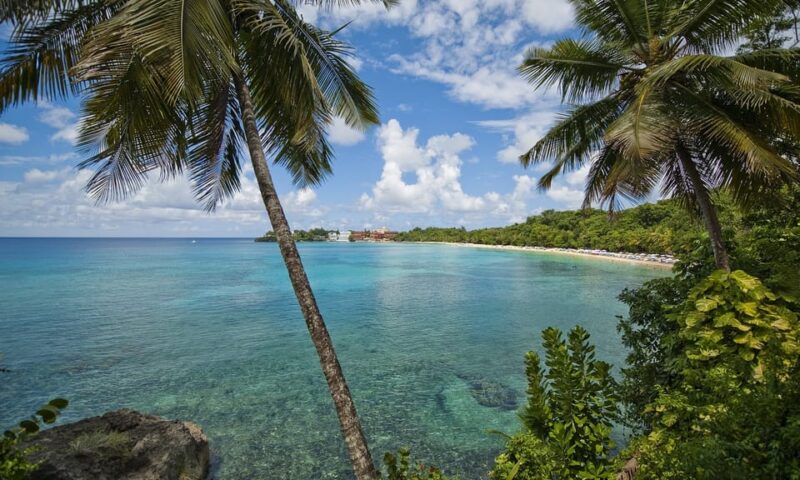 Sosua: Beach Day and Stand Up Paddle Boarding - Activity Overview