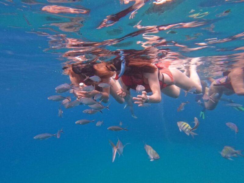 Sosua Sunset Party Boat and Snorkeling - Key Points
