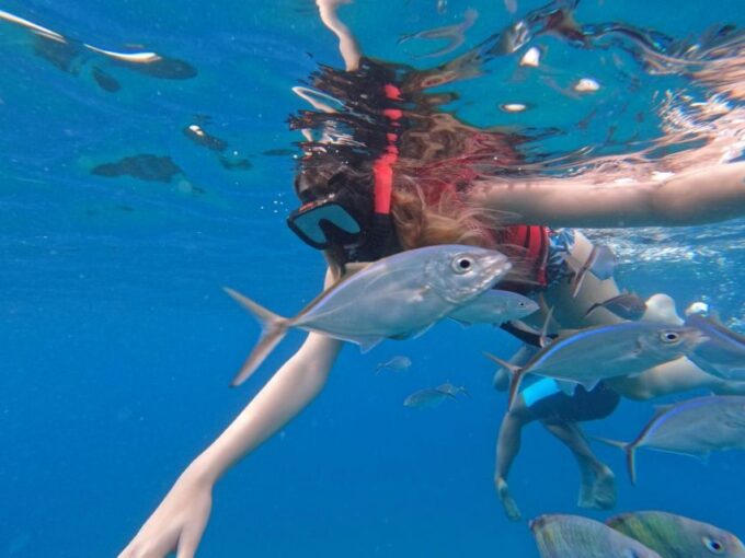 Sosua Sunset Party Boat and Snorkeling - Frequently Asked Questions
