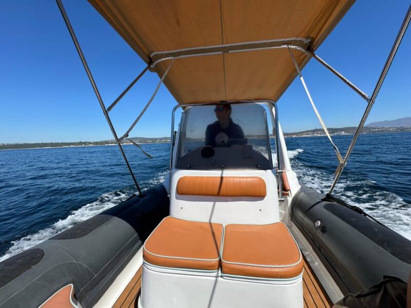 Sotogrande: Dolphin Watching Experience With Expert Crew - Wildlife and Navigation
