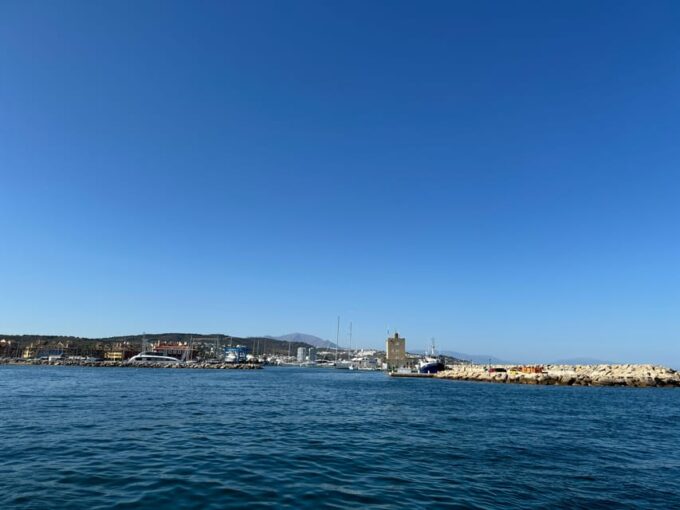Sotogrande: Dolphin Watching Experience With Expert Crew - Meeting Point and Details