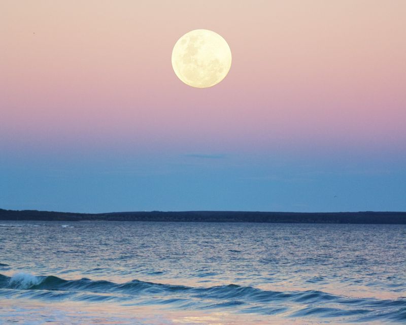 Sotogrande: Full Moon on the Sea 2 Hours - Key Points