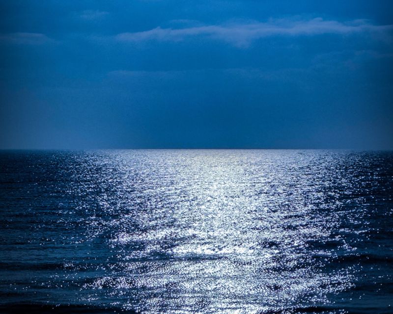 Sotogrande: Full Moon on the Sea 2 Hours - Wildlife Encounters