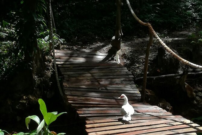 Soufriere Catamaran Excursion & Sapphire Falls Hike - Cancellation Policy