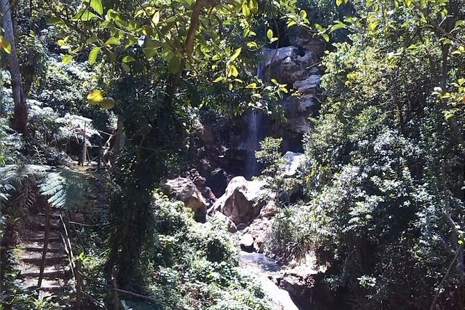 Soufriere Catamaran Excursion & Sapphire Falls Hike - Traveler Reviews and Ratings