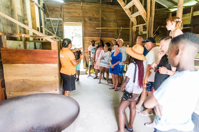 Soufriere Excursion With Rum & Chocolate Tasting - Buffet Lunch Experience