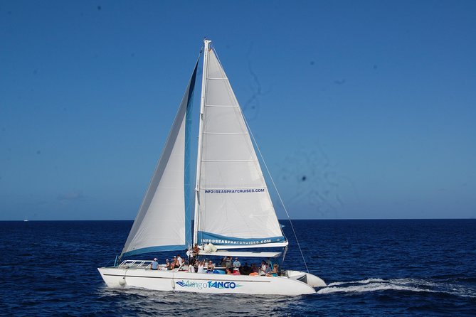 Soufriere Full-Day Land and Sea Combo Tour - Included Activities