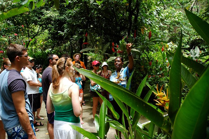 Soufriere Island Delight - Scenic Highlights
