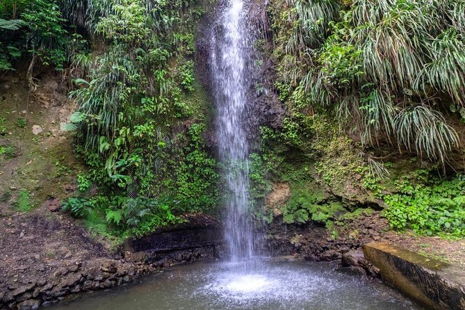 Soufriere Tour - Experiencing the Scenic Drives
