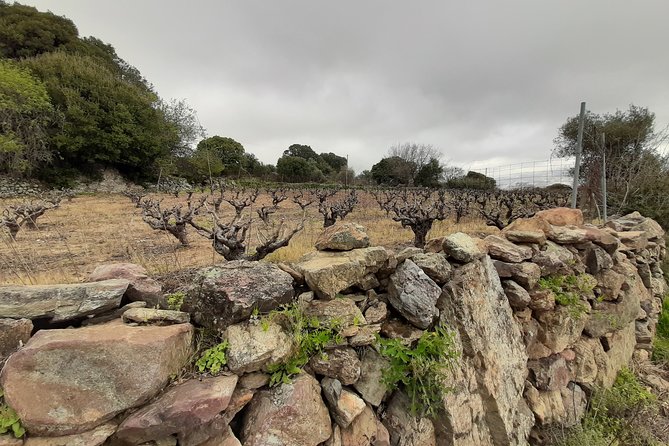 Sougia-Armos-Maza Hike Adventure - Local Attractions