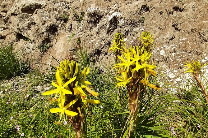 Sougia-Armos-Maza Hike Adventure - Safety Tips and Guidelines
