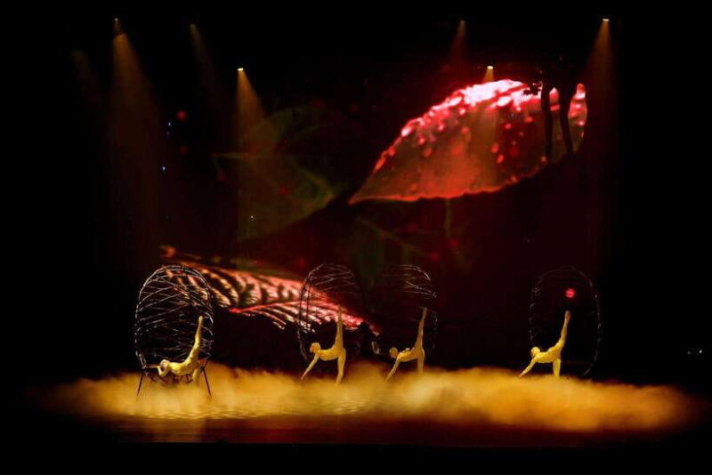 Soul of Vietnam - Vietnam Traditional Art Performance - Performance Details
