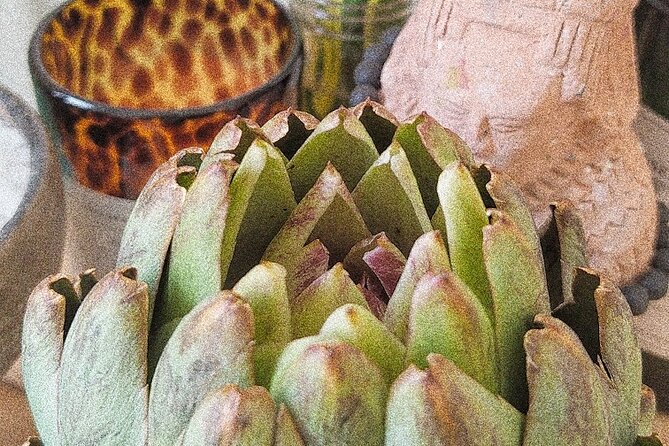 Soul Revitalization: Cacao & Sound Ceremony 3 H. Private Retreat - Frequently Asked Questions
