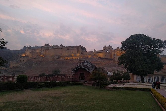 Sound & Light Show At Amber Fort, Jaipur - Traveler Reviews and Engagement
