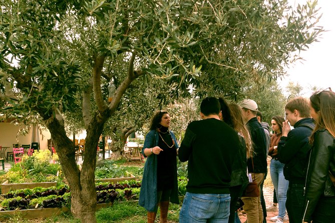 Sounion Highlights: Vouliagmeni, Olive Farm, Poseidon Temple, Thorikos Theatre - Customer Experience